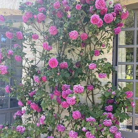 La Maison D'aline 2*